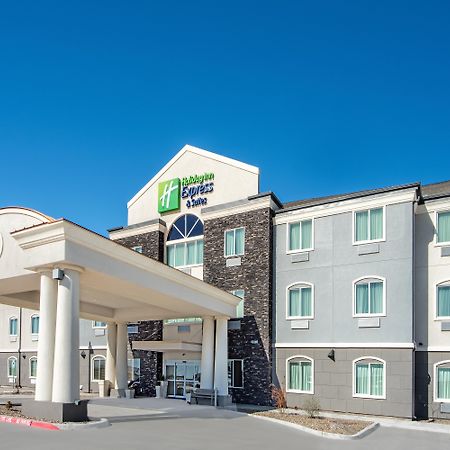 Holiday Inn Express Hotel And Suites Monahans I-20, An Ihg Hotel Exterior foto